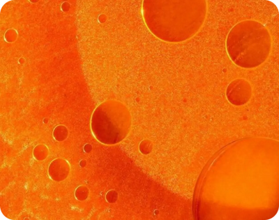 Carrot (Daucus Carota Sativa) Root Extract