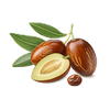Jojoba Oil